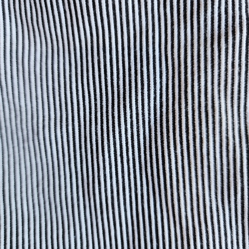 Express Editor black and white striped shorts Size 4 - Picture 2 of 12